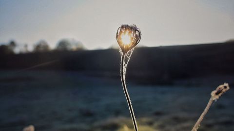 0 grados en Abegondo (A Coru�a)