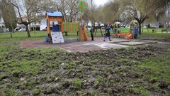 LOS JABALIES DESTROZAN EL JARDIN DEL PARQUE DE OS REGOS EN OLEIROS 