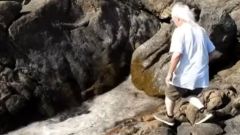 Encuentra moco marino en la costa de A Guarda
