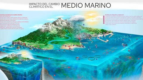 L�mina did�ctica sobre el cambio clim�tico en Asturias