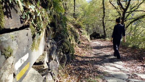 Un tramo del Camino de Invierno, una ruta hist�rica en la que se centra una de las actividades del programa