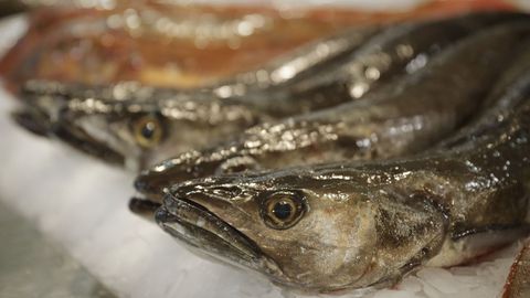 Marisco y pescado en la coruesa Plaza de Lugo