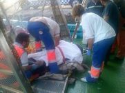 Los sanitarios atendieron a los heridos en el puerto rianxeiro. 