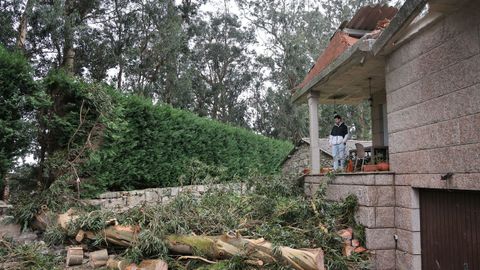 Un eucalipto de grandes dimensiones cay� sobre el tejado de una casa en Ribadumia provocando grandes desperfectos