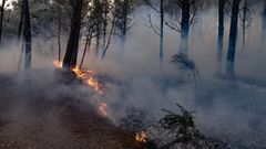 Imagen de archivo de un incendio forestal en Ponteceso