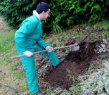 Los alumnos de jardiner�a del Montecelo ya preparan un talud del centro para crear su huerto saludable.