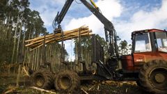 Las empresas madereras deber�n depositar una garant�a en el Concello