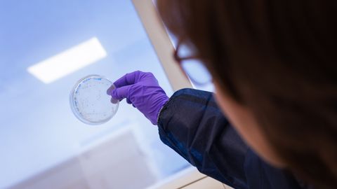 El desarrollo de bacterias resistentes a m�s de un antibi�tico, por un uso inadecuado, causa 35.000 muertes al a�o en Europa