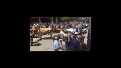 Feira dos Carballi�os en Vilatuxe
