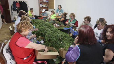 Varias mujeres cortando verde esta semana en uno de los locales de Ares.