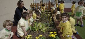 Los peque�os han plantado en su huerto fresas, lechugas, cebollas, pimientos o patatas. 