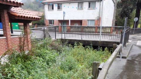 Estado del regato de Tudela Agüeria, en Oviedo