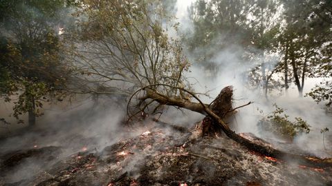 El fuego calcin buena parte del monte Outeiro, en Chavaga