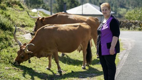 Albertina Adn, de Olelas, con una vaca cachena