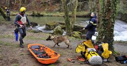 Los perros de Casaga fueron decisivos en el rastreo y localizaci�n de los �desaparecidos�. 