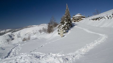 Snow in the mountains of Os Ancares, in San Romn de Cervantes area.