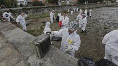 Limpieza de voluntarios en la r�a de O Burgo en octubre del 2019