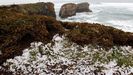 Y la nieve lleg� a la costa gallega