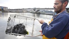 El patrn mayor de Pontevedra ensea el lodo que cubre gran parte del canal del ro Lrez, en una foto de archivo