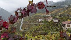 Los colores del oto�o en la Ribeira Sacra