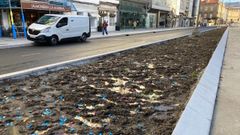 Caramelos esparcidos en los parterres de la Marina