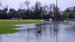 Patos nadando en el gran charco del campo de Fadura que oblig� a aplazar el partido entre Arenas y Pontevedra