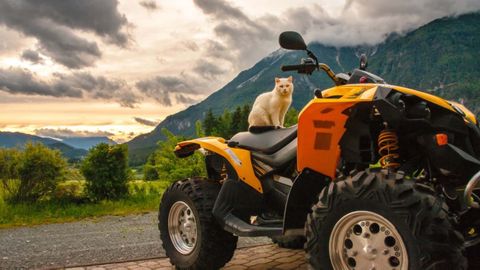 Imagen de archivo de un quad