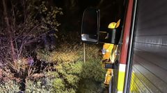 El coche acab� parando entre la maleza, al lado de un �rbol.