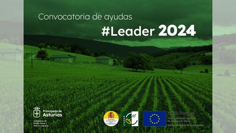 Infograf�a Leader 2024