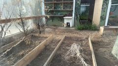 Estado de la pajarera del San Diego este mi&eacute;rcoles