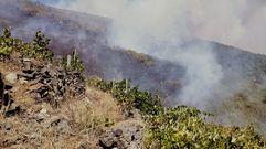 Bancales ocultos por el monte, al fondo, que dej al descubierto el incendio