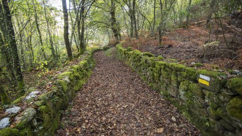 El camino discurre entre antiguos muros de piedra en un primer tramo, cerca de la aldea de A Boca