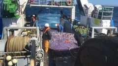 El arrastrero burelense Plaia de Rueta, en una campaa de pesca experimental para mejorar la selectividad de esos aparejos, con el Instituto Espaol de Oceanografa