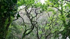 La muestra se compone de 14 cuadros