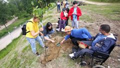 Mos gana nuevos �rboles gracias a Voz Natura