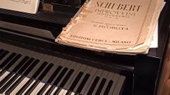 O piano de cola do sal�n mencionado neste artigo