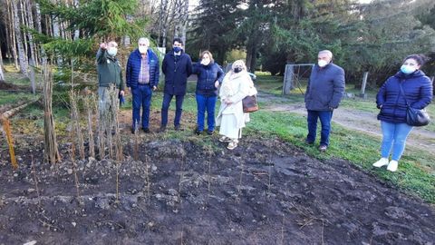 Los �rboles que se plantar�n corresponden a especies variadas