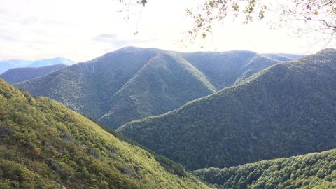 Vistas de Muniellos desde el Connio