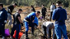 Voluntarios deportivistas reforestando zonas afectadas por el fuego en Laza