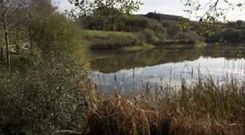 Imagen de As Bra�as, en Mes�a