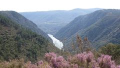 Paisaje del ca��n del Sil, uno de los espacios representativos de la reserva de la biosfera de la Ribeira Sacra y las sierras de O Courel y O Oribio