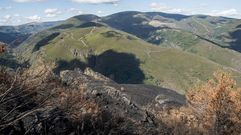Im�genes del Cami�o da Vena a su paso por una zona quemada en verano�