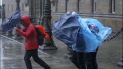 Las  consecuencias del temporal de lluvia y viento en Santiago
