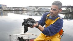 El patr�n mayor de Pontevedra, C�sar Rodr�guez, ense�a el estado fangoso del L�rez en el a�o 2016
