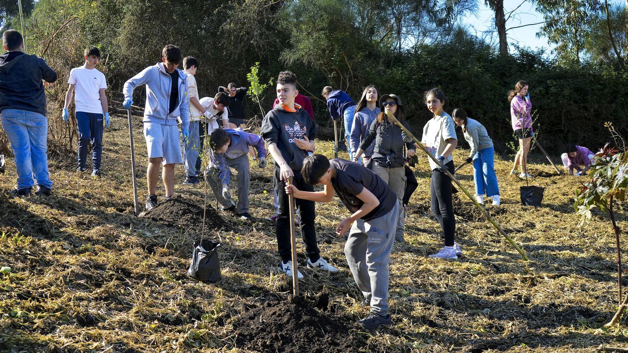 Un bosque contra el fuego en el monte Alba