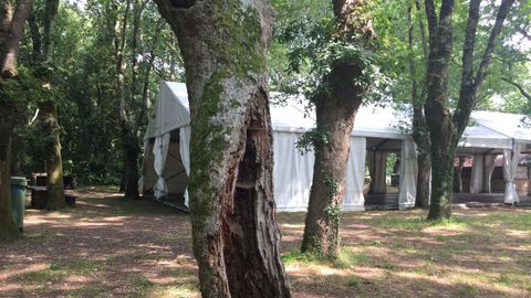 Carpa y cantina en Chaián, Trazo