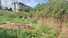 El terreno que se subasta