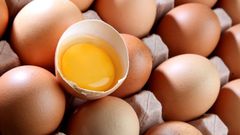 Imagen de archivo de unos huevos