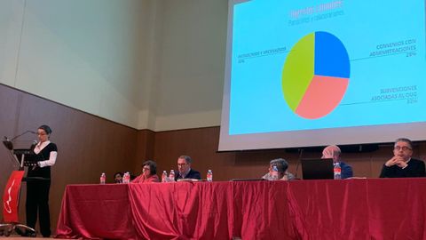 La tesorera del Colegio Oficial de Arquitectos de Asturias, Mar�a Jos� Fern�ndez, presenta los presupuestos a la asamblea