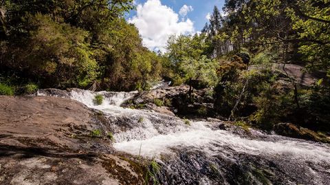 Fervenza das Campa��as, Cuntis